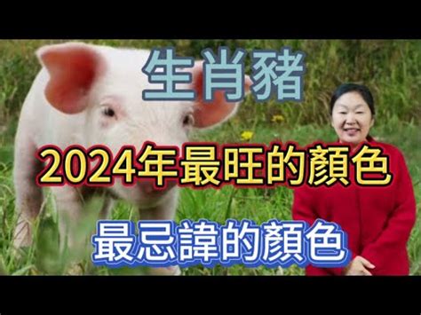 生肖豬幸運色|【2024屬豬幸運色】2024年屬豬者的幸運色與運勢攻略！點亮幸。